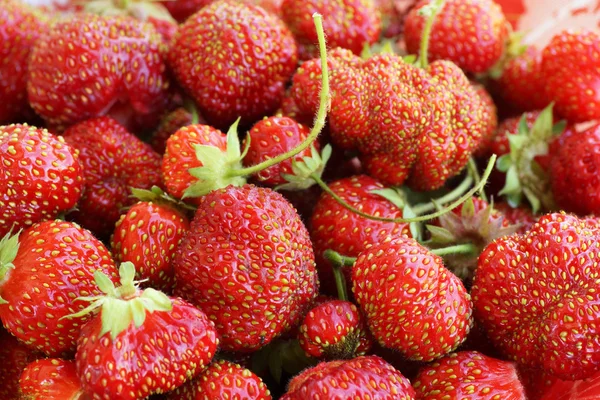 Fragola. sfondo . — Foto Stock