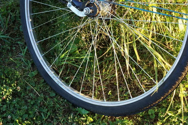 Roda de bicicleta na grama. — Fotografia de Stock