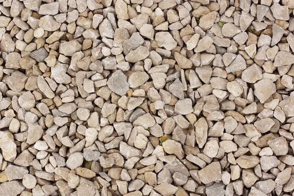 Stones on the bottom — Stock Photo, Image