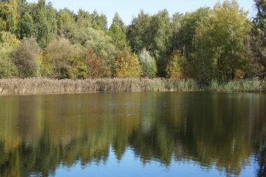 Nehir kıyısına ağaçta.