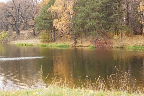 Rivier en bomen aan de oever in de herfst. — Stockfoto