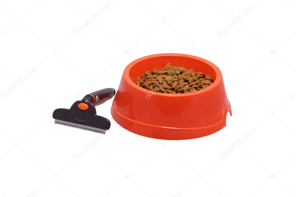A bowl of dog food and a comb.