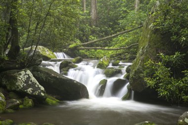 Relaxing scenic along the Roaring Fork Motor Tour in the Great Smoky Mountains National Park Tennessee USA