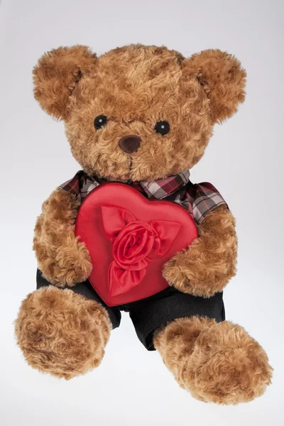 A cute teddy bear holding a Red Heart shaped box isolated on a white background — Stockfoto