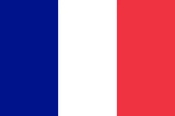 A bandeira oficial da França em sze e cor. Também conhecido como Tricolor —  Vetores de Stock