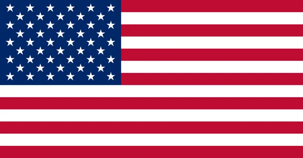 A bandeira oficial dos Estados Unidos da América feita para as especificações do governo em tamanho e cor — Vetor de Stock