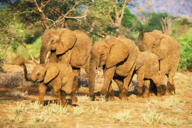 Afrika fili (Loxodonta africana) sürüsü, Samboro National Reserve, Kenya, Afrika'nın izlenimci sanat