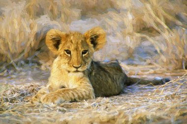 Bir sekiz hafta yaşlı aslan yavrusu (Panthera leo) Masia Mara Kenya, Afrika'nın izlenimci sanat