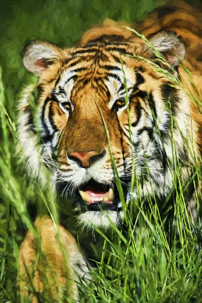 Impresionistického umění tygr bengálský (Panthera tigris tigris), pronásledování kořisti trávou — Stock fotografie