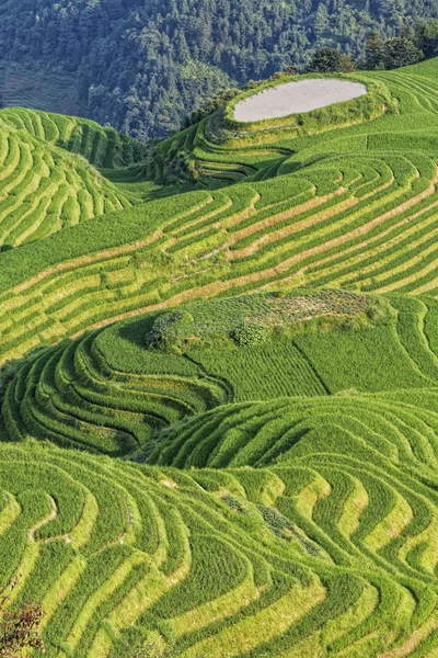 Yedi yıldız eşlik Moon, ejderhanın omurga pirinç terasları, veya Longji pirinç terasları Çince, görünümünü yakın Ping'an Köyü Kuzey Guilin, Guangxi Zhuang Özerk Bölgesi aka Guangxi eyaleti Çin bulunmaktadır — Stok fotoğraf