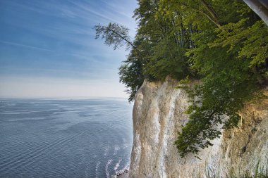 Güzel Rgen adasındaki tebeşir kayalıkları