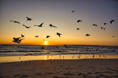 Ruegen adasındaki Baltık Denizi 'nde gün doğumu, gün batımı