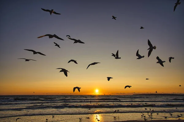 Sonnenaufgang Sonnenuntergang Der Ostsee Auf Der Insel Rügen — Stockfoto