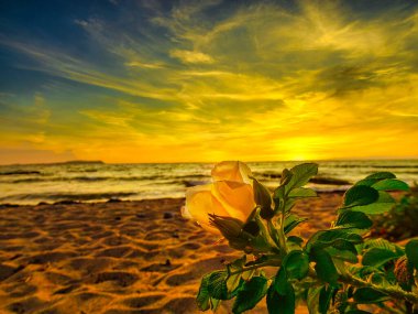 Ruegen adasındaki Baltık Denizi 'nde gün doğumu, gün batımı