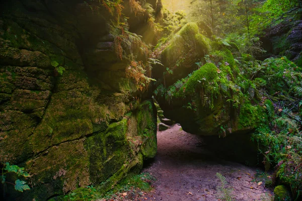 Saxon Suíça Uma Maravilha Natural Única Alemanha — Fotografia de Stock