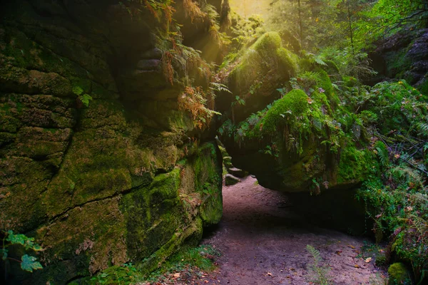 Suiza Sajona Una Maravilla Natural Única Alemania — Foto de Stock