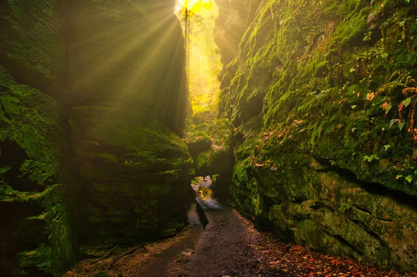 Suiza Sajona Una Maravilla Natural Única Alemania —  Fotos de Stock