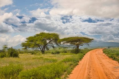 National Park Tsavo Doğu Tsavo West ve Amboseli 'nin manzara resimleri.