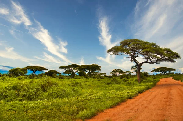 Krajobrazy Parku Narodowego Tsavo East Tsavo West Amboseli — Zdjęcie stockowe