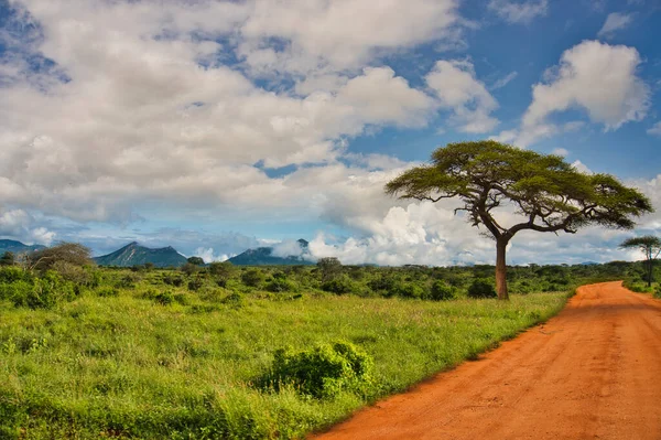 Paisagem Fotos Parque Nacional Tsavo East Tsavo Oeste Amboseli — Fotografia de Stock