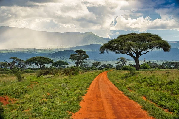 Krajobrazy Parku Narodowego Tsavo East Tsavo West Amboseli — Zdjęcie stockowe