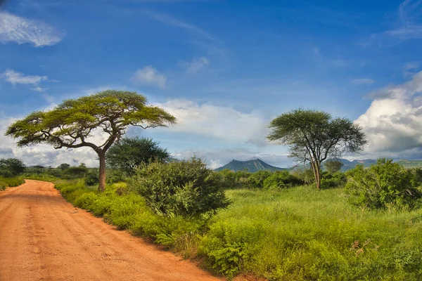 Paisagem Fotos Parque Nacional Tsavo East Tsavo Oeste Amboseli — Fotografia de Stock