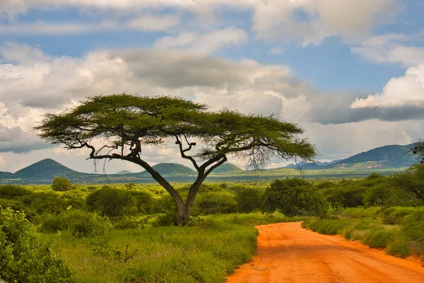 Paisagem Fotos Parque Nacional Tsavo East Tsavo Oeste Amboseli — Fotografia de Stock