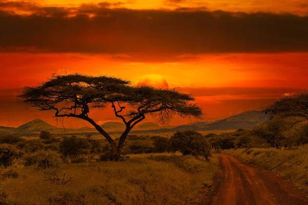 Sunset Sunrise Tsavo East National Park Tsavo West Amboseli — Stock Photo, Image