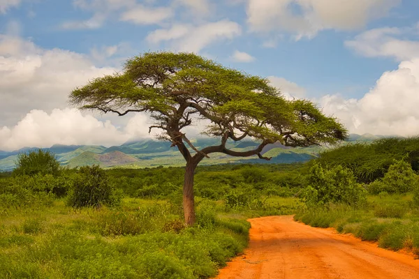 Krajinné Fotografie Národního Parku Tsavo East Tsavo West Amboseli — Stock fotografie