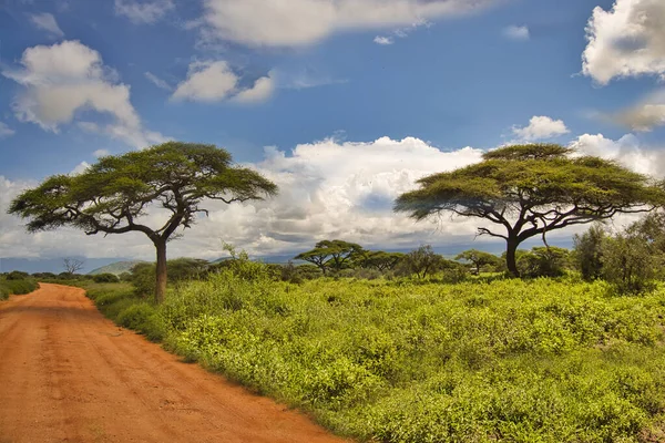 Paesaggio Dal Parco Nazionale Tsavo Est Tsavo Ovest Amboseli — Foto Stock