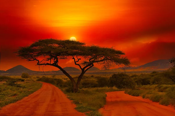 Zonsondergang Zonsopkomst Het Tsavo East National Park Tsavo West Amboseli — Stockfoto