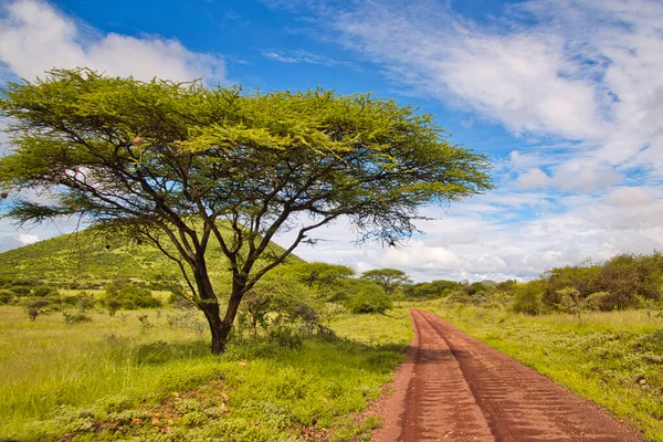 Krajinné Fotografie Národního Parku Tsavo East Tsavo West Amboseli — Stock fotografie