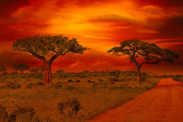 Západ Slunce Východ Slunce Národním Parku Tsavo Tsavo West Amboseli — Stock fotografie