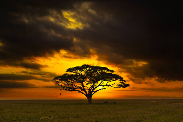 Sunset and sunrise in the Tsavo East National Park, Tsavo West and Amboseli