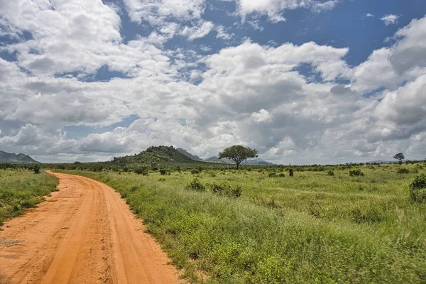 Paisagem Fotos Parque Nacional Tsavo East Tsavo Oeste Amboseli — Fotografia de Stock