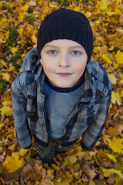 Un niño está en hojas amarillas de otoño —  Fotos de Stock