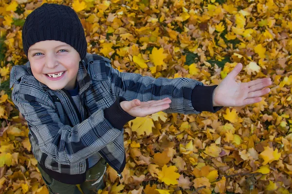 A child is in yellow autumn leaves — Stock Photo, Image