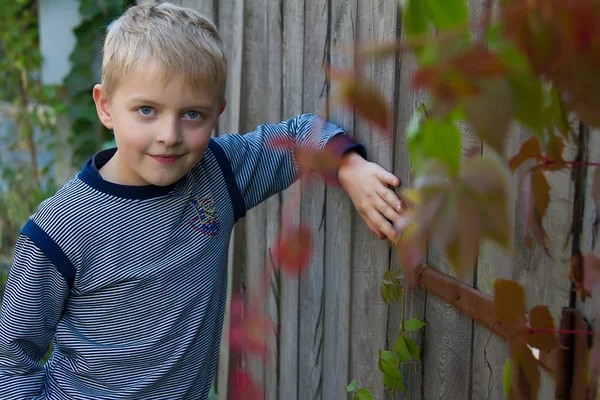 Beautiful little blue-eyed boy — Stock Photo, Image