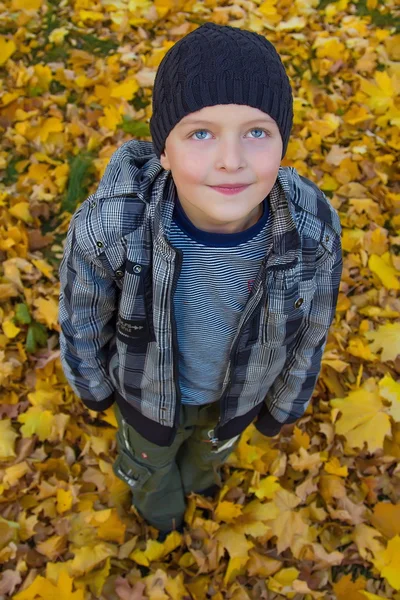 A child is in yellow autumn leaves — Stock Photo, Image