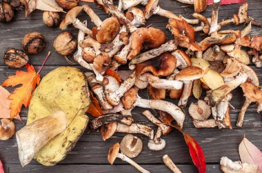 Ballı tarımsal mantarlar ve eski ahşap tabakta düşen kırmızı yapraklar.  