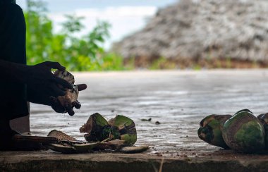 Afrikalı esmer adam taze bir hindistan cevizi açıyor, sadece Tanzanya, Afrika