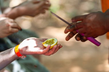 Marakuya ya da tutku meyvesi tatmış turistler, sadece eller. 