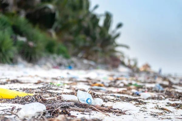 Lost Heaven Piękna Linia Brzegowa Plastikowymi Odpadami Zanzibarze Tanzania — Zdjęcie stockowe