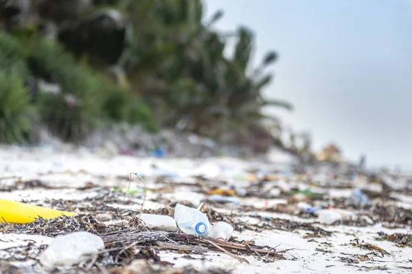 Cielo Perduto Una Bellissima Costa Polarizzata Con Rifiuti Plastica Zanzibar Immagine Stock