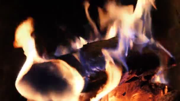 V krbu hoří oheň. Teplo a pohodlí domova. Jasné plameny v temném krbu — Stock video