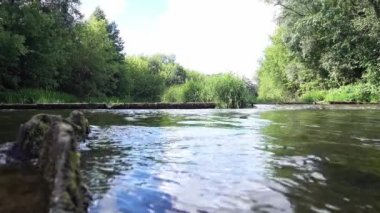 Ormanda küçük bir şelale.