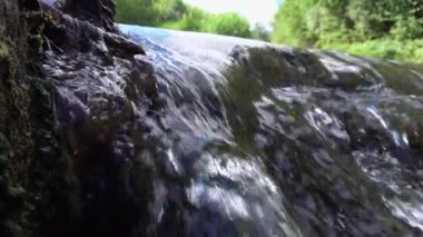 Ormanda küçük bir şelale.