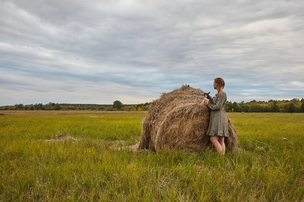 Menina Loira Vestido Com Uma Cesta Cão Campo Perto Palheiro — Fotografia de Stock