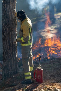 İspanya 'nın Madrid kenti yakınlarındaki orman yangını önleme çalışmaları sırasında orman yönetimi görevlerini Wildland itfaiyecileri yerine getirdi