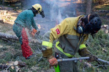 İtfaiyeciler Madrid, İspanya yakınlarındaki orman yangınını önlemek için bitki örtüsünü temizledi